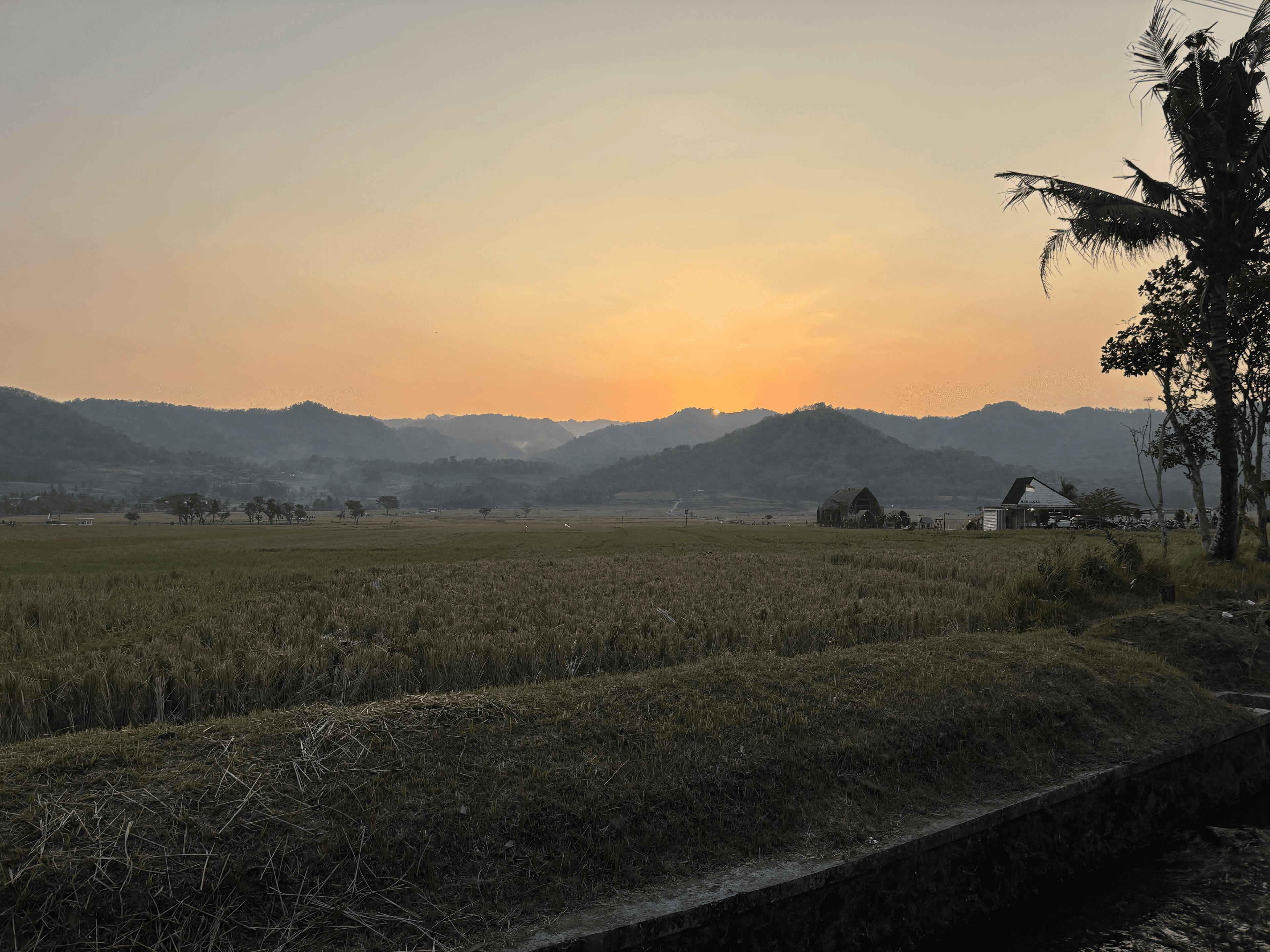 Pemandangan Wisata Kembang